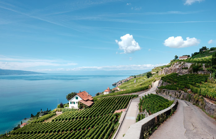 Just 20-minute train ride outside of Lausanne and you're in the middle of beautiful terraced vineyards